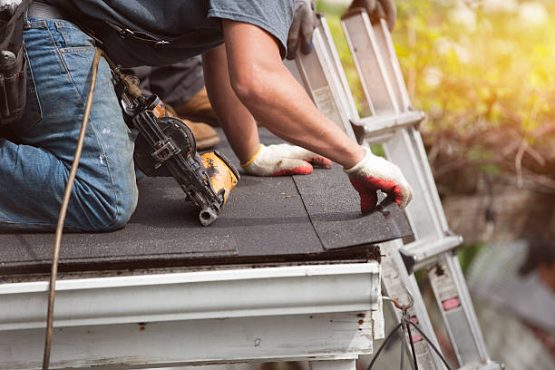 Best Storm Damage Roof Repair  in Ludington, MI