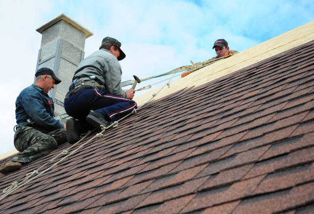 Best Roof Leak Repair  in Ludington, MI