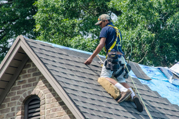 Best Shingle Roofing Installation  in Ludington, MI